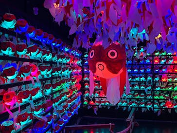 NARA KINGYO MUSEUMに投稿された画像（2023/7/28）