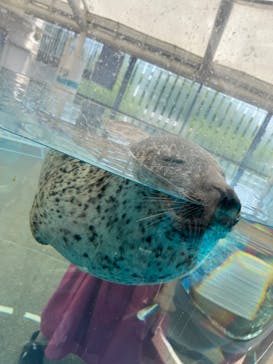 京都水族館に投稿された画像（2023/7/28）