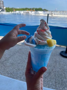 京都水族館に投稿された画像（2023/7/28）