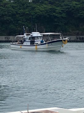 沖縄海うさぎ・海あしびに投稿された画像（2023/7/28）