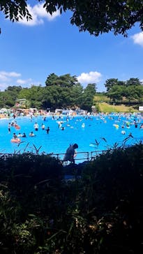 西武園ゆうえんちに投稿された画像（2023/7/28）