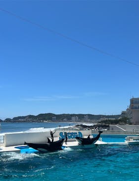 鴨川シーワールドに投稿された画像（2023/7/28）