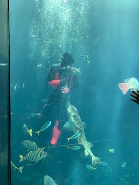 下田海中水族館に投稿された画像（2023/7/28）