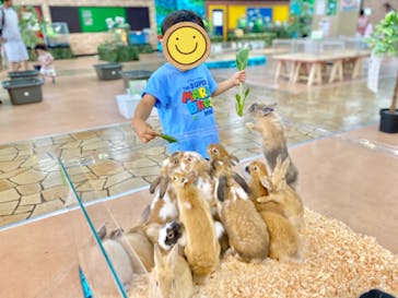 いきもの探検隊上尾に投稿された画像（2023/7/28）