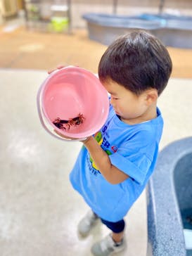 いきもの探検隊上尾に投稿された画像（2023/7/28）