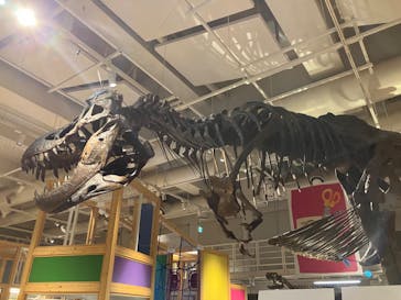 国立科学博物館に投稿された画像（2023/7/28）