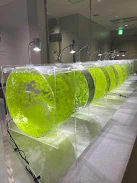 AOAO SAPPOROに投稿された画像（2023/7/28）