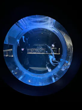 AOAO SAPPOROに投稿された画像（2023/7/28）