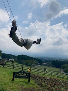 まかいの牧場に投稿された画像（2023/7/28）