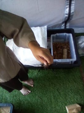 大江戸温泉物語 浦安万華郷に投稿された画像（2023/7/28）