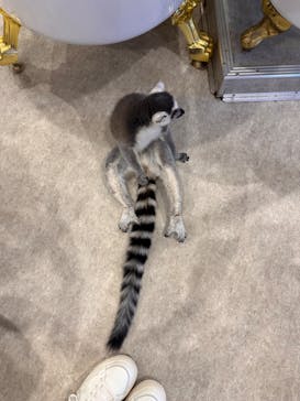 アニタッチみなとみらいに投稿された画像（2023/7/28）