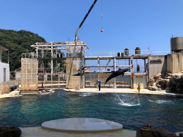 城崎マリンワールドに投稿された画像（2023/7/28）