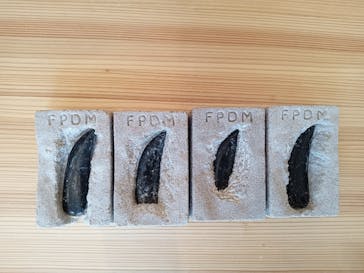 福井県立恐竜博物館に投稿された画像（2023/7/28）