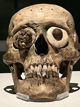 特別展「古代メキシコーマヤ、アステカ、テオティワカン」に投稿された画像（2023/7/28）