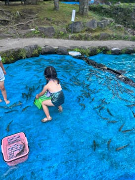 軽井沢おもちゃ王国に投稿された画像（2023/7/28）