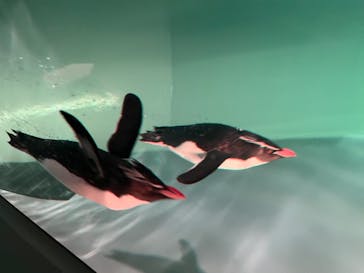 AOAO SAPPOROに投稿された画像（2023/7/28）