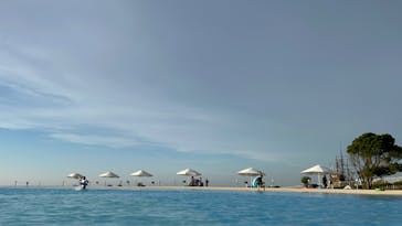 芝政ワールドに投稿された画像（2023/7/28）