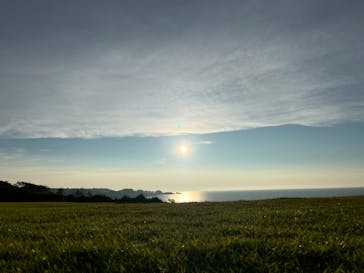 芝政ワールドに投稿された画像（2023/7/28）