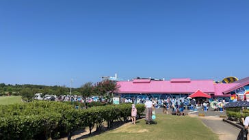 芝政ワールドに投稿された画像（2023/7/28）