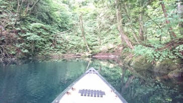 グリランド株式会社に投稿された画像（2023/7/28）