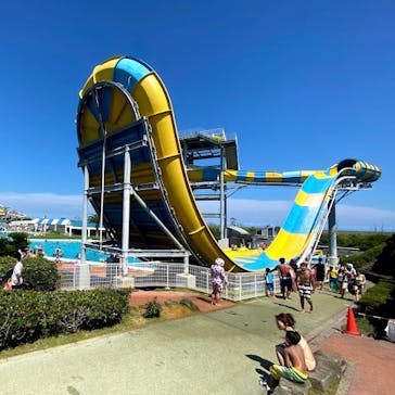 蓮沼ウォーターガーデンに投稿された画像（2023/7/28）