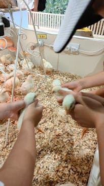 アニタッチアクアシティお台場に投稿された画像（2023/7/28）