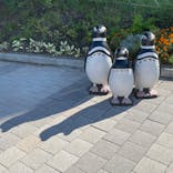 しながわ水族館に投稿された画像（2023/7/29）