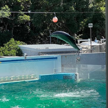 しながわ水族館に投稿された画像（2023/7/28）