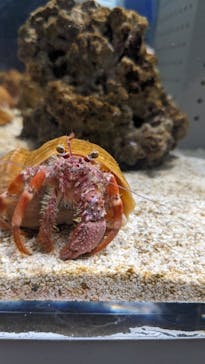 AOAO SAPPOROに投稿された画像（2023/7/28）