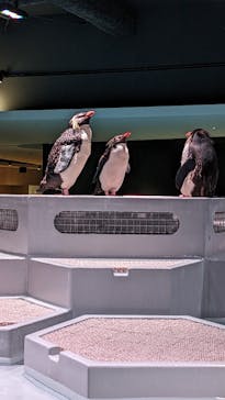 AOAO SAPPOROに投稿された画像（2023/7/28）