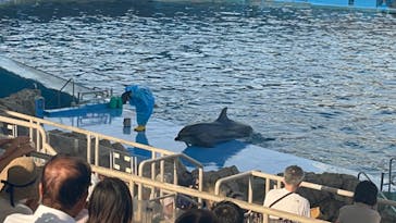 名古屋港水族館に投稿された画像（2023/7/28）