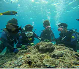 武藤潜水に投稿された画像（2023/7/29）