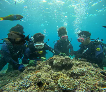 武藤潜水に投稿された画像（2023/7/29）