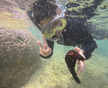 武藤潜水に投稿された画像（2023/7/29）