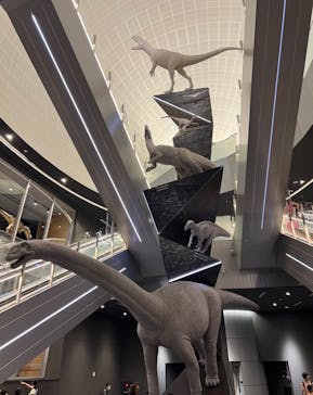 福井県立恐竜博物館に投稿された画像（2023/7/29）