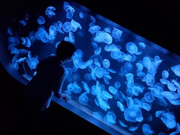 AOAO SAPPOROに投稿された画像（2023/7/29）