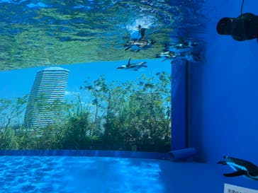 サンシャイン水族館に投稿された画像（2023/7/29）