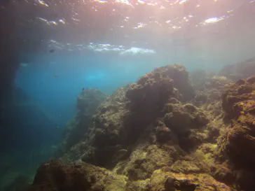 武藤潜水に投稿された画像（2023/7/29）