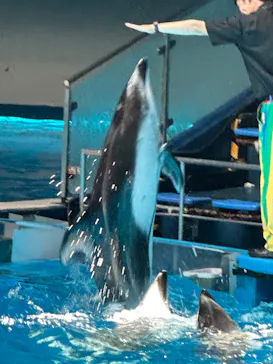 マクセル アクアパーク品川に投稿された画像（2023/7/29）