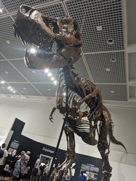 大阪市立自然史博物館に投稿された画像（2023/7/29）