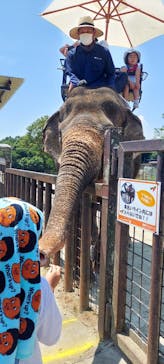 那須サファリパークに投稿された画像（2023/7/29）