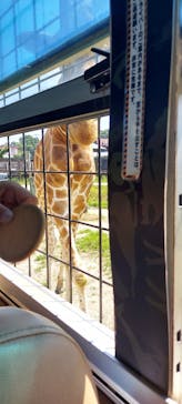 那須サファリパークに投稿された画像（2023/7/29）