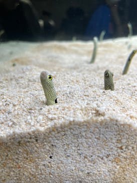 AOAO SAPPOROに投稿された画像（2023/7/29）