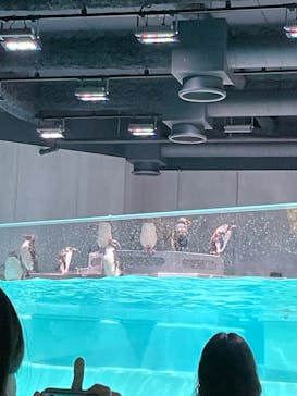 AOAO SAPPOROに投稿された画像（2023/7/29）