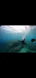 武藤潜水に投稿された画像（2023/7/29）