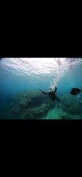 武藤潜水に投稿された画像（2023/7/29）