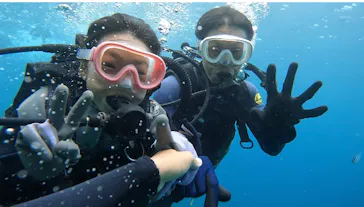 武藤潜水に投稿された画像（2023/7/29）