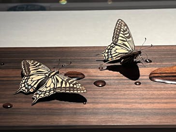 あべのハルカス美術館に投稿された画像（2023/7/29）