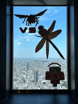 昆虫最強王図鑑展に投稿された画像（2023/7/29）