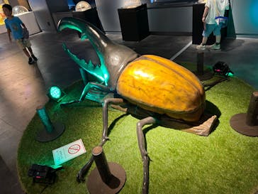 昆虫最強王図鑑展に投稿された画像（2023/7/29）